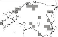 bryoria_implexa.jpg